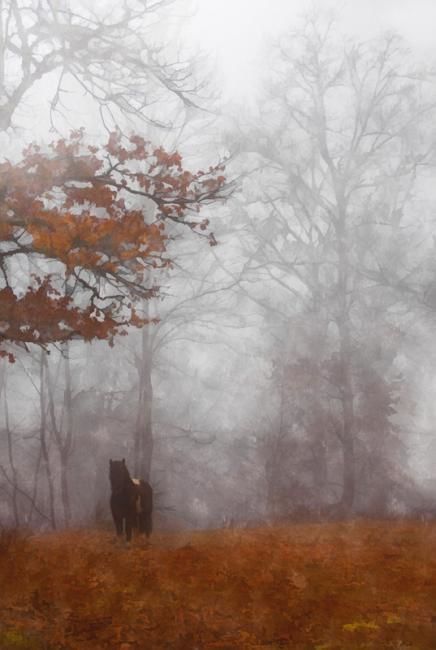 Цифровое искусство под названием "brouillard matinal" - Eric Belin, Подлинное произведение искусства, Цифровая живопись