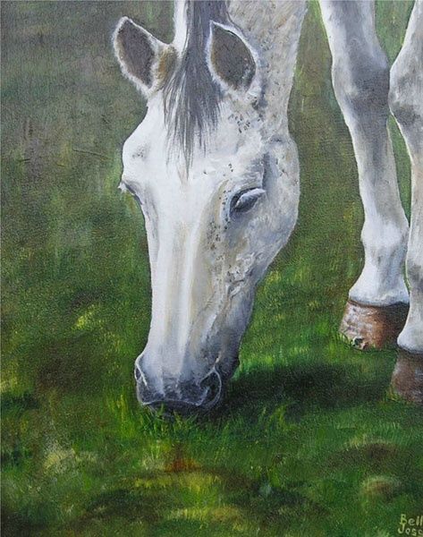 Pittura intitolato "Equus" da Danielle Belle Josse, Opera d'arte originale