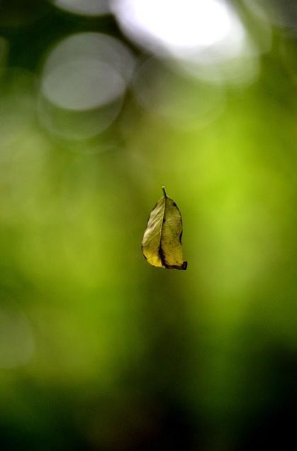 Photography titled "au grès du vent-lâc…" by Riad'Art, Original Artwork