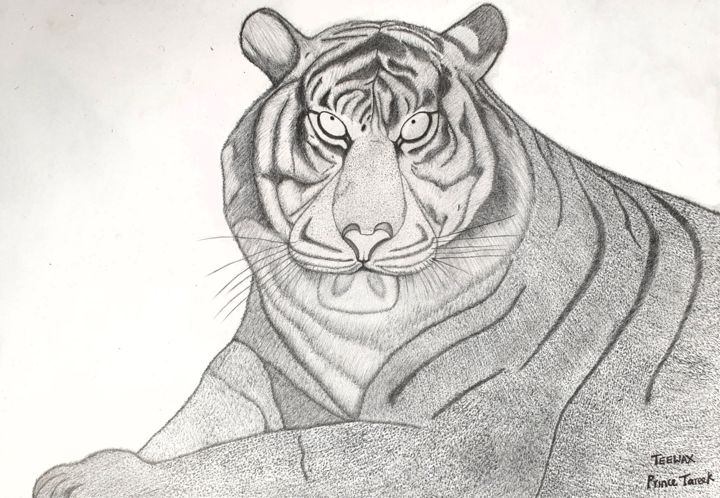 Drawing titled "Tiger" by Teewax Princetareek, Original Artwork, Pencil