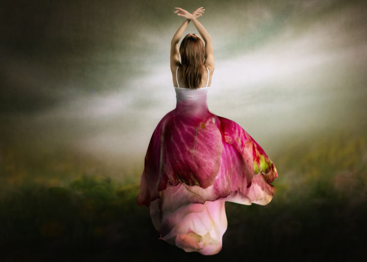 Photographie intitulée "lady rose" par Ben Goossens, Œuvre d'art originale