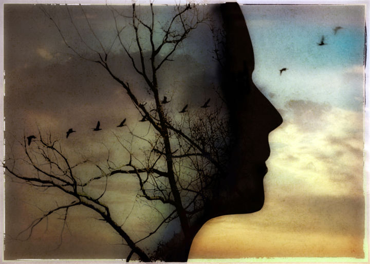 Fotografía titulada "Nature in mind" por Ben Goossens, Obra de arte original