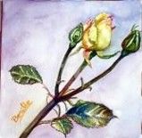 Peinture intitulée "LA Rosa" par Benilde, Œuvre d'art originale, Aquarelle