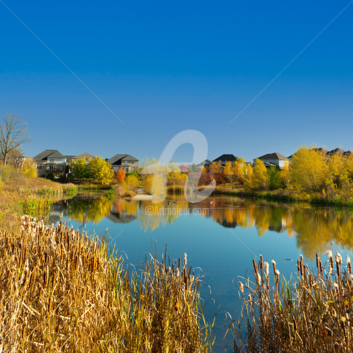 Photographie intitulée "Canadian geese on a…" par Benjamin, Œuvre d'art originale, Photographie numérique