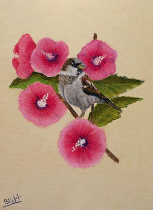 "moineau" başlıklı Tablo Benjamin Petit tarafından, Orijinal sanat, Pastel