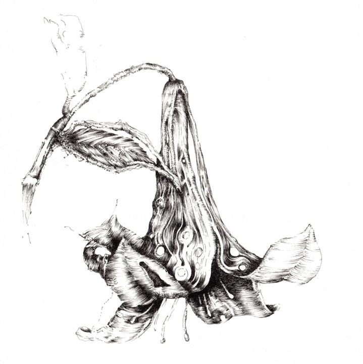 Desenho intitulada "HOKUSAI Lys détail…" por Benoît Gauthier, Obras de arte originais, Tinta