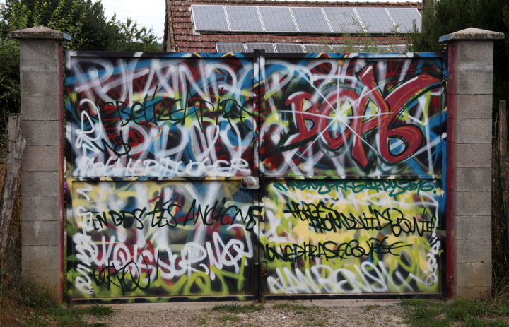 Malerei mit dem Titel "Portail wild graffi…" von Béopé, Original-Kunstwerk, Sprühfarbe