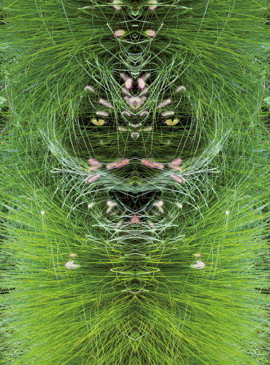 Digitale Kunst getiteld "Le masque de la Par…" door Bernard Vincent, Origineel Kunstwerk