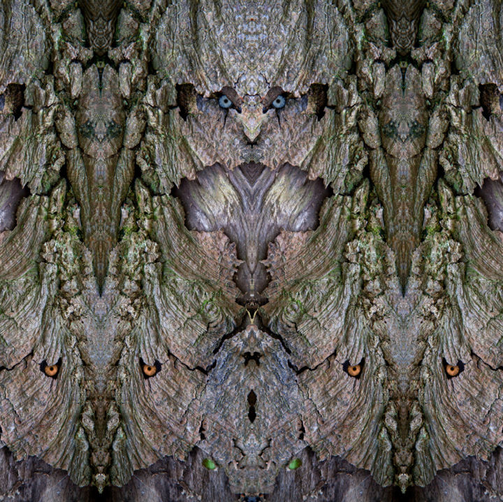 Digital Arts titled "La stèle du barbare" by Bernard Vincent, Original Art,