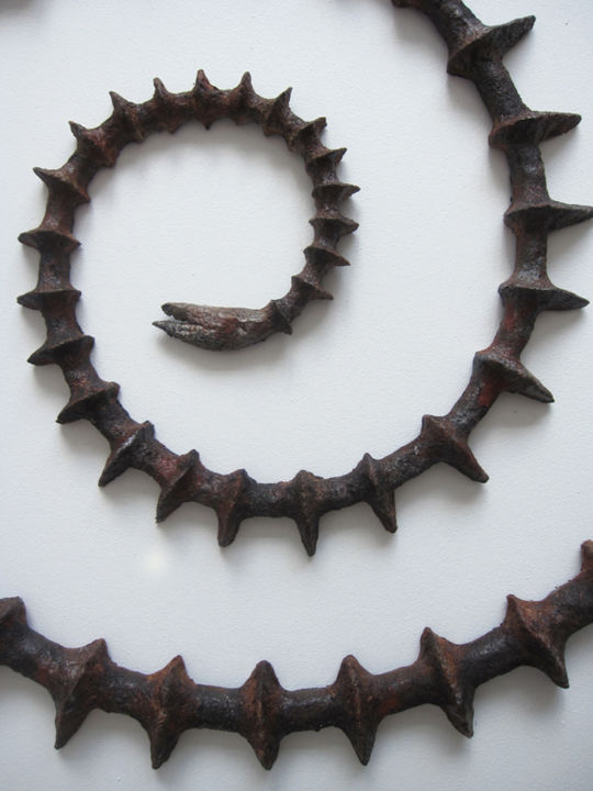 Sculpture intitulée "spirale-detail.jpg" par Berengere D Orsay, Œuvre d'art originale
