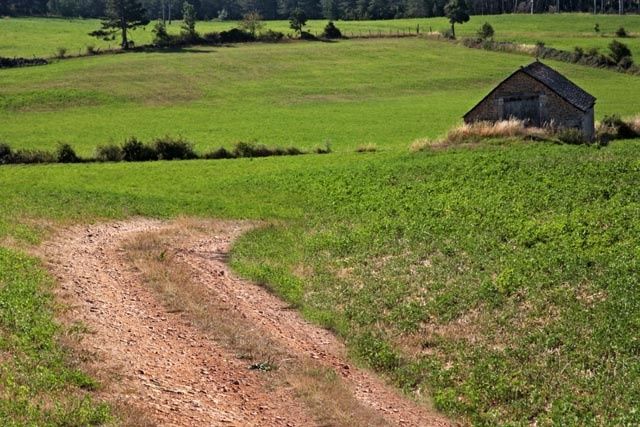 Fotografía titulada "chemin vert" por Bernard Jacques, Obra de arte original