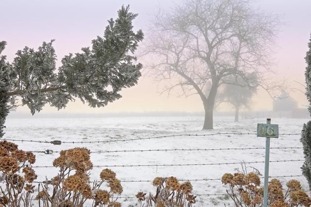 Photographie intitulée "cadre hivernal" par Bernard Jacques, Œuvre d'art originale