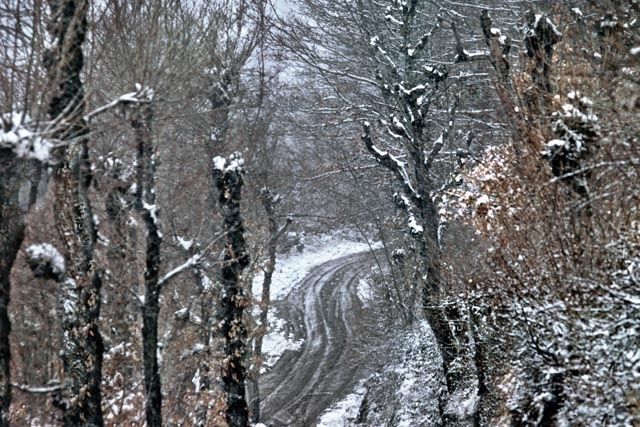 Photography titled "winterreise" by Bernard Jacques, Original Artwork