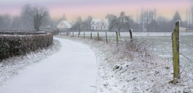 Fotografie getiteld "Bois des Puits" door Bernard Jacques, Origineel Kunstwerk