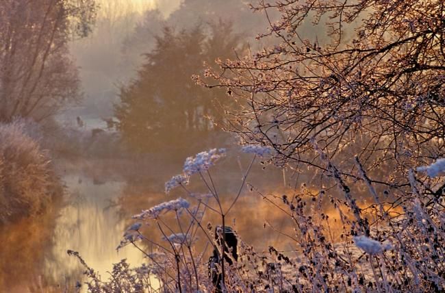 "rive" başlıklı Fotoğraf Bernard Jacques tarafından, Orijinal sanat