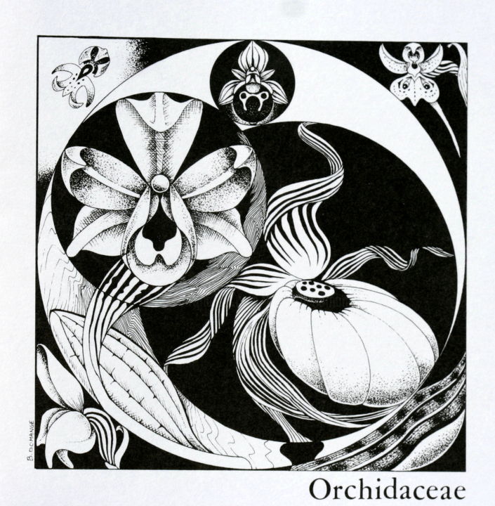 Desenho intitulada "Didactique N/B Orc." por Bernard Domange, Obras de arte originais