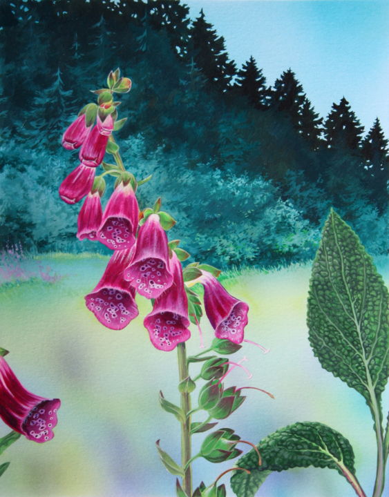 Malerei mit dem Titel "Flore des Pyrénées…" von Bernard Domange, Original-Kunstwerk, Acryl