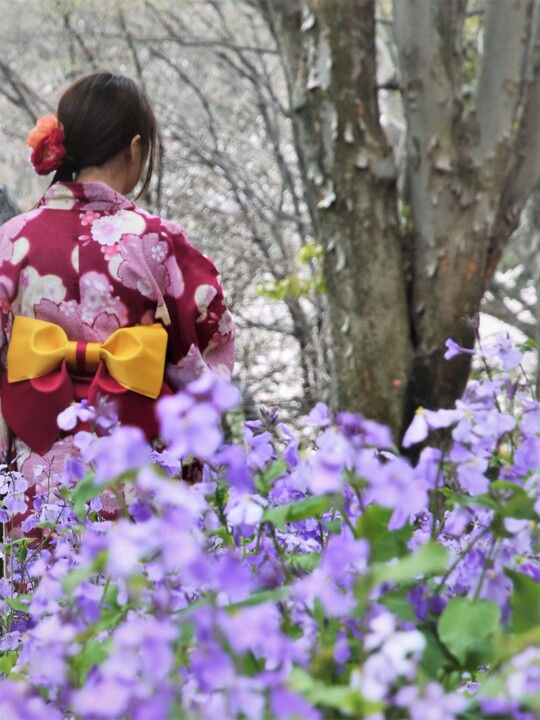 Fotografie mit dem Titel "walk in Kitanomaru…" von Bernard Levy, Original-Kunstwerk, Digitale Fotografie