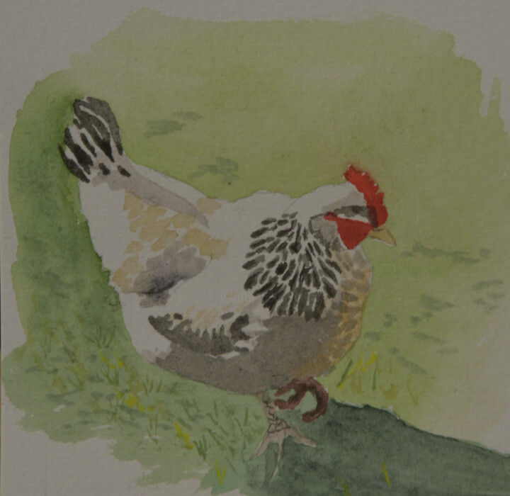 Картина под названием "Petite poule du che…" - Bernard Pothier, Подлинное произведение искусства, Акварель