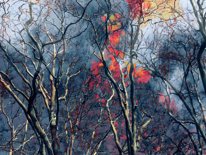 Digitale Kunst getiteld "Incendo Arbores" door Bernard Pourchet, Origineel Kunstwerk, 2D Digital Work