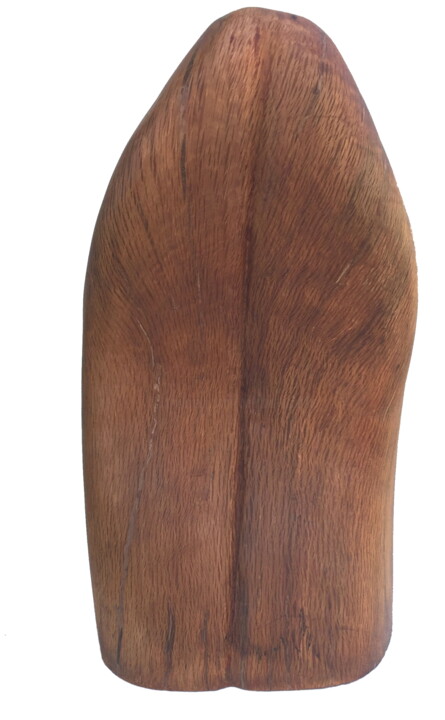 雕塑 标题为“Langue de bois” 由Bernard Sabathé, 原创艺术品, 木