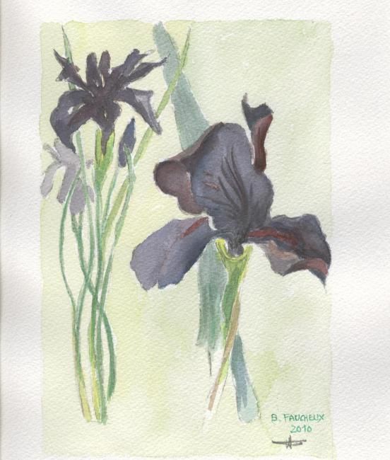 Painting titled "aquarelle les iris" by Bernard Faucheux, Original Artwork, Oil