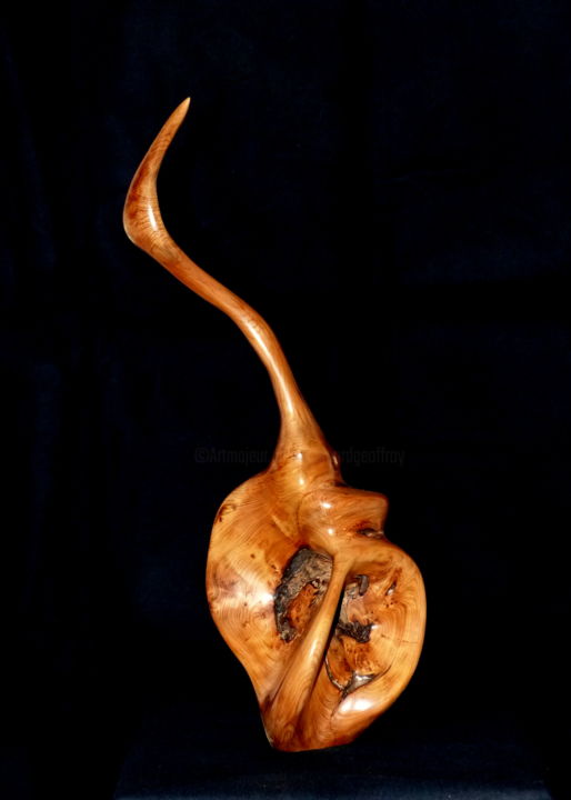 Sculpture titled "oiseau" by Bernard Geoffroy, Original Artwork, Wood