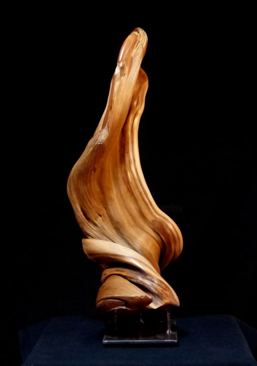 Sculpture titled "Torbide" by Bernard Geoffroy, Original Artwork, Wood