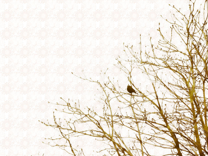 Photography titled "The blackbird Febru…" by Bernard Liotier, Original Artwork
