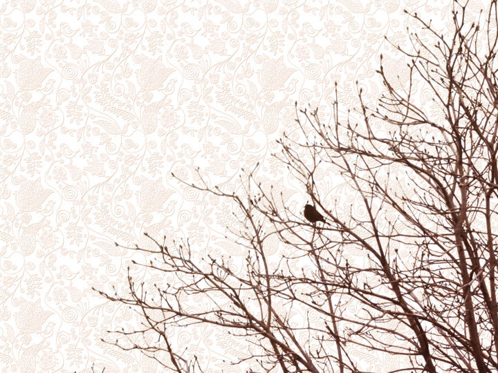 Photography titled "The blackbird Febru…" by Bernard Liotier, Original Artwork