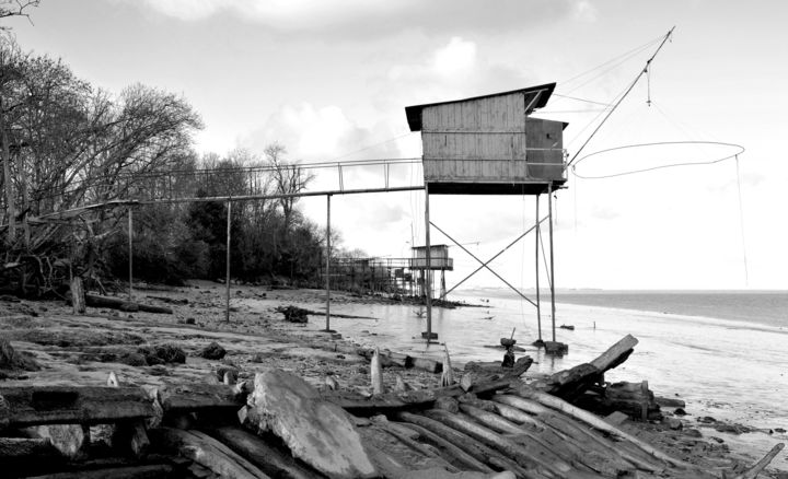 Photographie intitulée "River bank, plaices…" par Bernard Liotier, Œuvre d'art originale