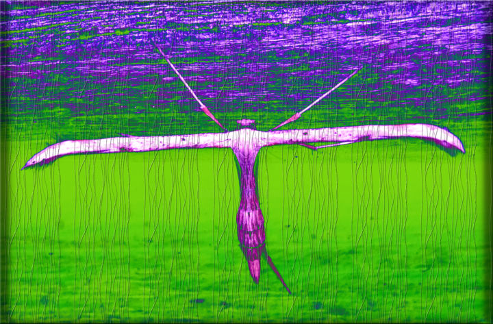Digitale Kunst mit dem Titel "Insect on wooden do…" von Bernard Liotier, Original-Kunstwerk