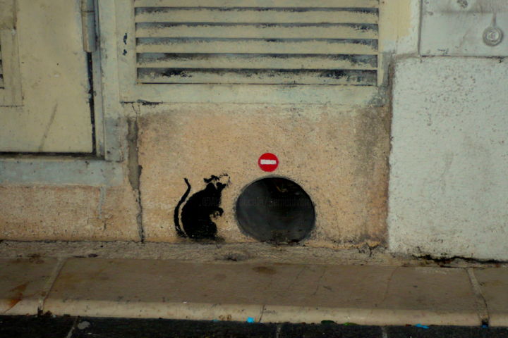 Fotografia intitolato "le trou et le rat.(…" da Bernard Vergier, Opera d'arte originale