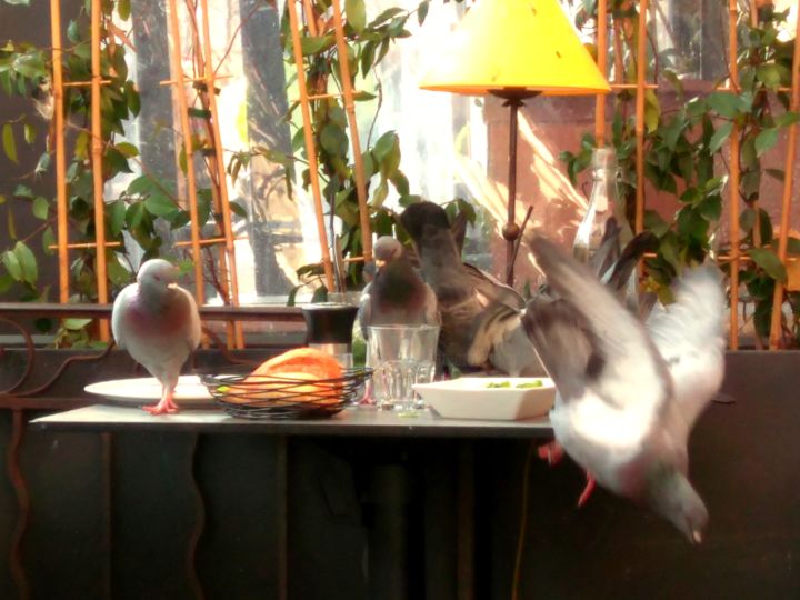 Photographie intitulée "un appétit d'oiseau…" par Bernard Vergier, Œuvre d'art originale, Photographie numérique