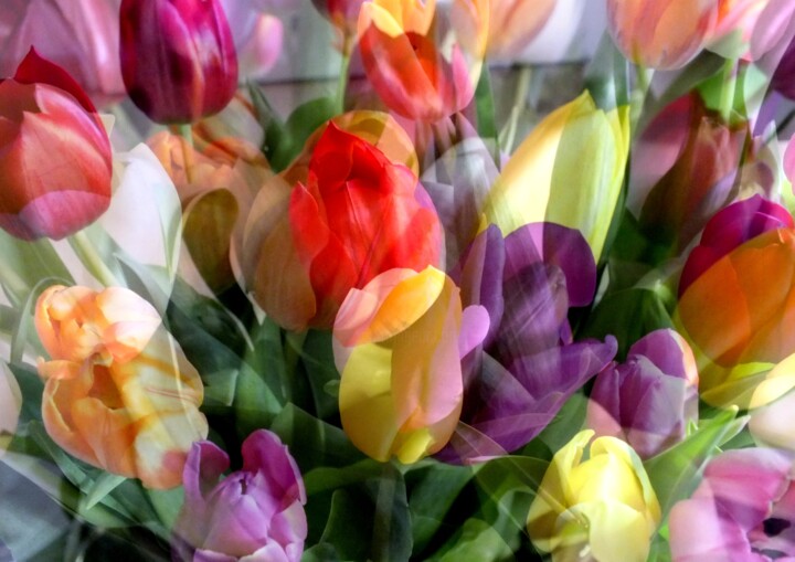 Fotografie mit dem Titel "Tulpen Original" von Bernd Lauer, Original-Kunstwerk, Digitale Fotografie
