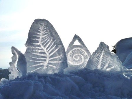 Photographie intitulée "Fougères de neige" par Alain Bernegger, Œuvre d'art originale, Photographie numérique