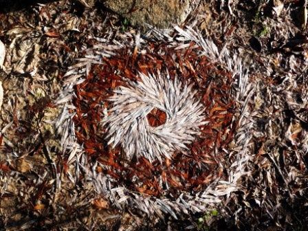 Installation intitulée "Mandala de saule" par Alain Bernegger, Œuvre d'art originale