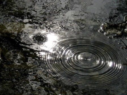 Photographie intitulée "Anneaux d'eau" par Alain Bernegger, Œuvre d'art originale