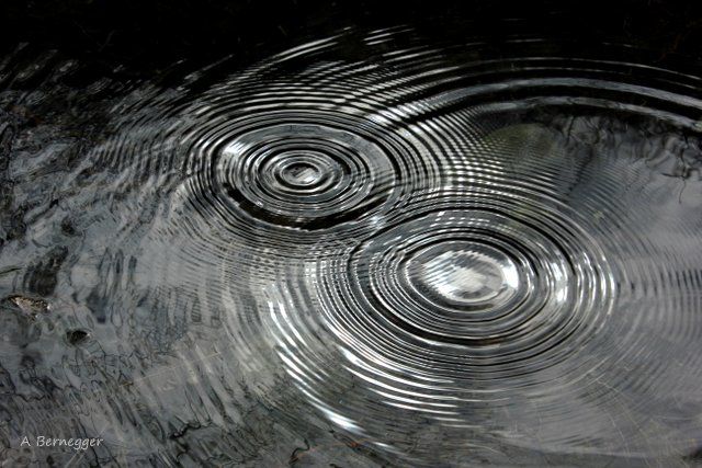 "Ronds d'eau et refl…" başlıklı Yerleştirme  Alain Bernegger tarafından, Orijinal sanat