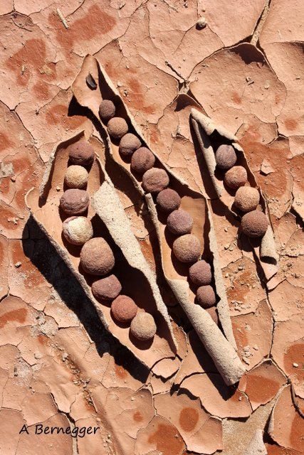 Instalação intitulada "Création en argile" por Alain Bernegger, Obras de arte originais