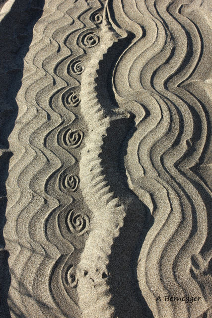 Photographie intitulée "Motifs sur le sable" par Alain Bernegger, Œuvre d'art originale