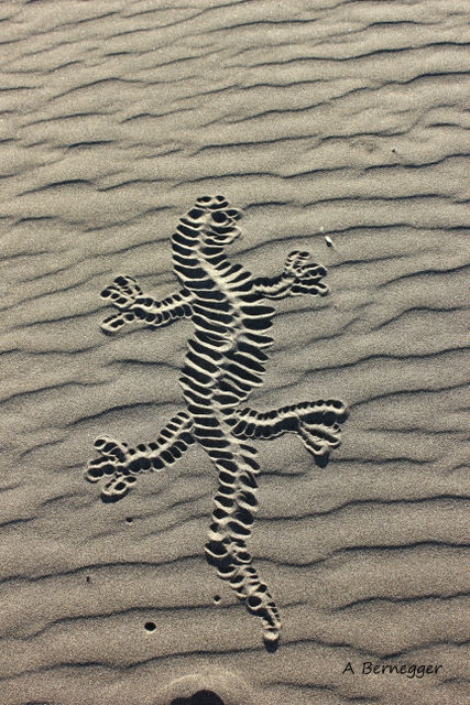 Installation intitulée "Lézard des sable" par Alain Bernegger, Œuvre d'art originale