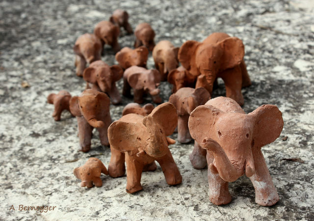 Fotografía titulada "éléphants" por Alain Bernegger, Obra de arte original