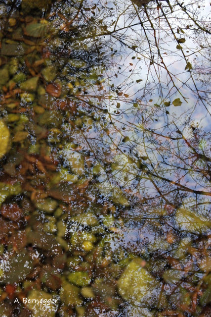 Photographie intitulée "Reflet" par Alain Bernegger, Œuvre d'art originale