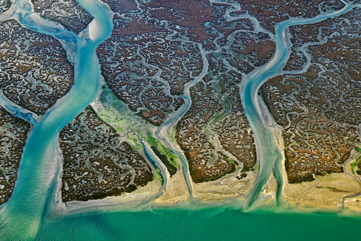 Fotografía titulada "Ria Formosa, Portug…" por Bernhard Edmaier, Obra de arte original, Fotografía digital