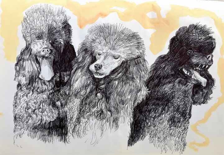 Drawing titled "Three Dogs Are Play…" by Berthold Von Kamptz, Original Artwork, Other