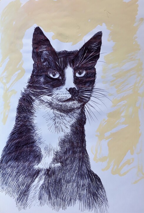 Drawing titled "The Cat" by Berthold Von Kamptz, Original Artwork, Ballpoint pen