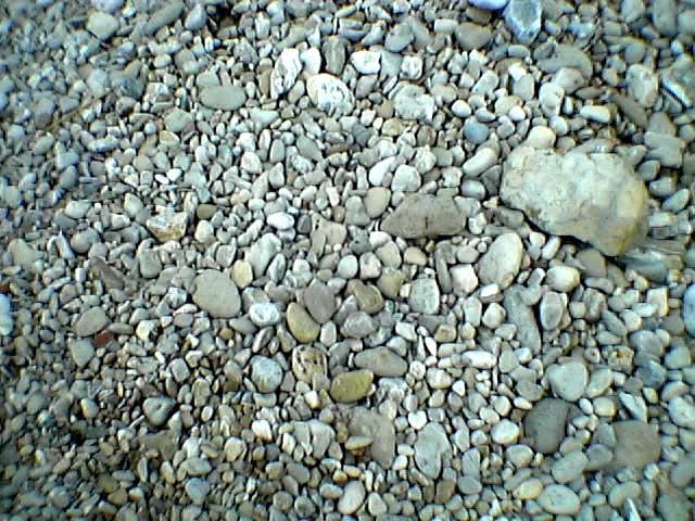 Photography titled "Details" by Bertie Walting, Original Art,