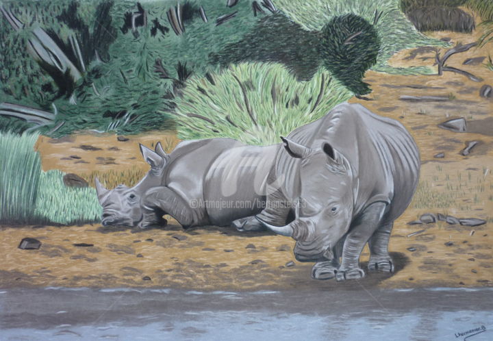 Dibujo titulada "LE RHINOCÉROS UN AN…" por Bertrand Lhermenier, Obra de arte original, Pastel