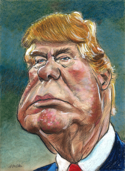 Рисунок под названием "Donald Trump" - Bertrand Daullé, Подлинное произведение искусства, Цветные карандаши